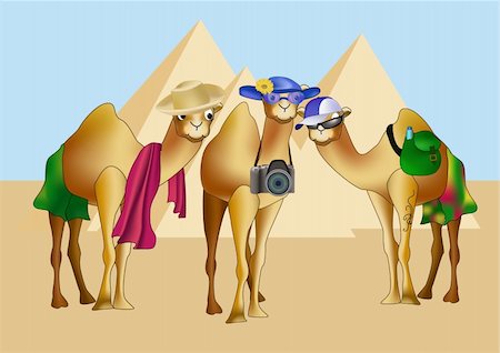 simsearch:400-04121488,k - Three camels as tourists in front of pyramids. Foto de stock - Super Valor sin royalties y Suscripción, Código: 400-04355917