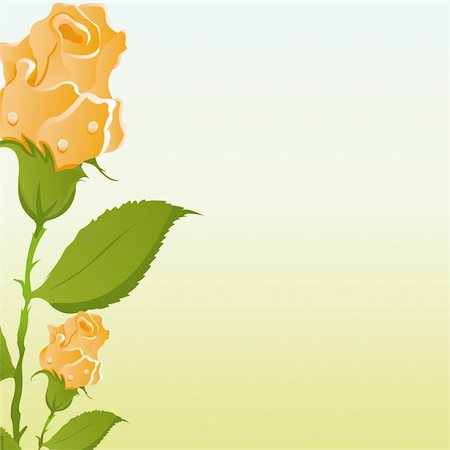 simsearch:400-04330288,k - beautiful roses background Stock Photo - Budget Royalty-Free & Subscription, Code: 400-04356528