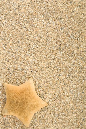 Starfish lying on the sea sand. Background Stock Photo - Budget Royalty-Free & Subscription, Code: 400-04359008