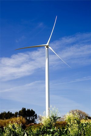 simsearch:400-05319608,k - Wind turbine on a beautiful green meadow, energy concept Stock Photo - Budget Royalty-Free & Subscription, Code: 400-04359519