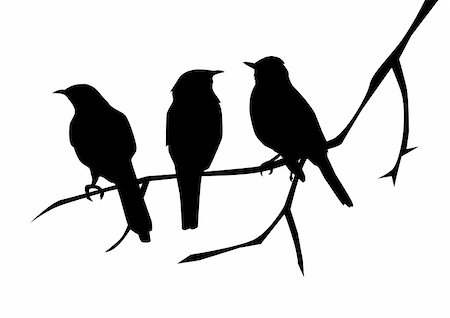 peace silhouette in black - vector illustration of three birds silhouettes sitting on the branch Stock Photo - Budget Royalty-Free & Subscription, Code: 400-04359776