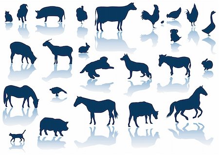 vector illustration of farm animals silhouettes with reflection Foto de stock - Super Valor sin royalties y Suscripción, Código: 400-04359777