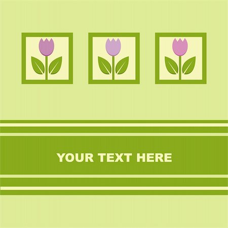 simsearch:400-04330288,k - cute tulips card Stock Photo - Budget Royalty-Free & Subscription, Code: 400-04350939