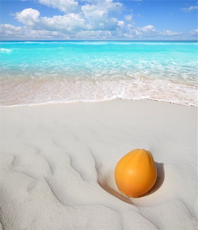 simsearch:400-04329339,k - coconut on Caribbean beach white sand ripe orange turquoise sea Stock Photo - Budget Royalty-Free & Subscription, Code: 400-04352807