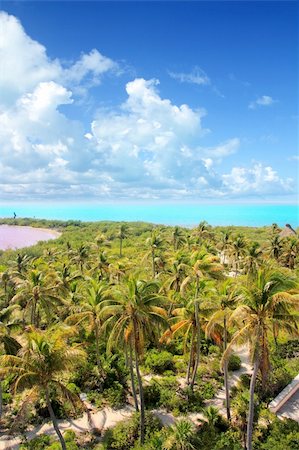 aerial view Contoy tropical caribbean island Mexico palm trees and sea Stock Photo - Budget Royalty-Free & Subscription, Code: 400-04352876