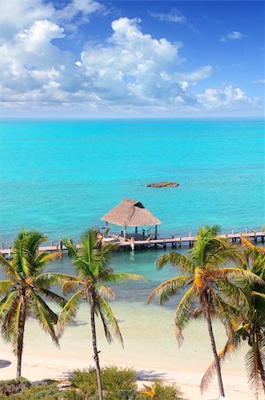 simsearch:400-04329339,k - aerial view Contoy tropical caribbean island Mexico palm trees and sea Stock Photo - Budget Royalty-Free & Subscription, Code: 400-04352878