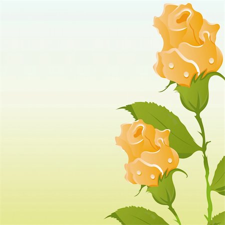 simsearch:400-04330288,k - beautiful roses background Stock Photo - Budget Royalty-Free & Subscription, Code: 400-04353563