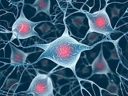 Neurons and Nucleus (Structure of the brain) Stock Photo - Budget Royalty-Free & Subscription, Code: 400-04365980