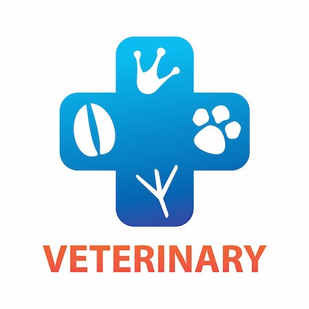 veterinary Stock Photo - Budget Royalty-Free & Subscription, Code: 400-04366511