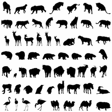 simsearch:400-04280168,k - Big collection of different animal silhouettes Stock Photo - Budget Royalty-Free & Subscription, Code: 400-04368646