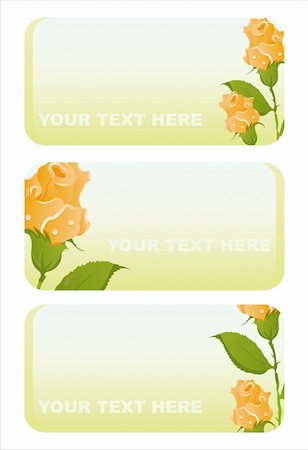 simsearch:400-04330288,k - set of 3 beautiful roses banners Stock Photo - Budget Royalty-Free & Subscription, Code: 400-04376822