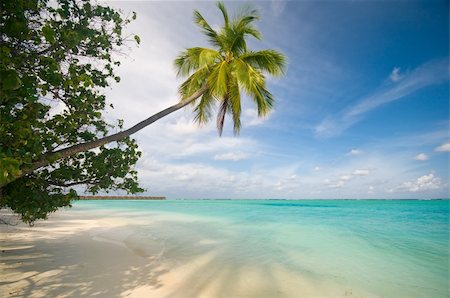 simsearch:400-03991814,k - beautiful tropical beach Stock Photo - Budget Royalty-Free & Subscription, Code: 400-04378148