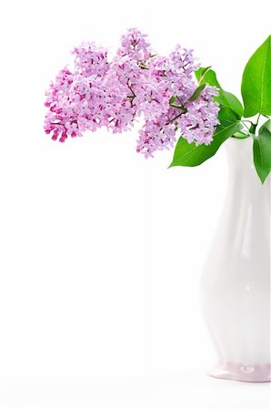 Lilac flower in vase Stock Photo - Budget Royalty-Free & Subscription, Code: 400-04378392