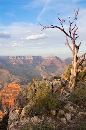 simsearch:400-04021596,k - Beautiful Landscape of the Grand Canyon, Arizona. Foto de stock - Super Valor sin royalties y Suscripción, Código: 400-04378635