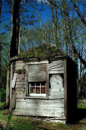 A Old abandoned hut in the woods Stock Photo - Budget Royalty-Free & Subscription, Code: 400-04370136