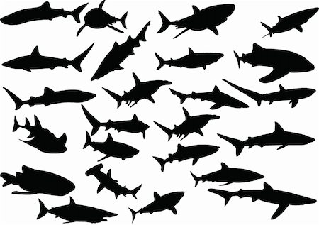 simsearch:400-05123541,k - sharks silhouette collection - vector Stock Photo - Budget Royalty-Free & Subscription, Code: 400-04384947
