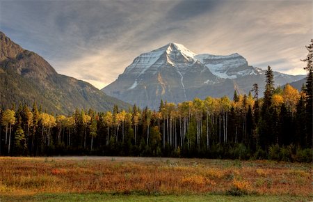 snowy mountains of aspen - Mount Robson in autumn Stock Photo - Budget Royalty-Free & Subscription, Code: 400-04385921