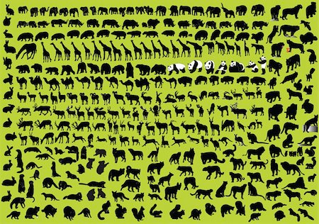 simsearch:400-04280168,k - big collection of wild animals - vector Stock Photo - Budget Royalty-Free & Subscription, Code: 400-04385982