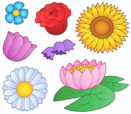 Various flowers set - vector illustration. Stock Photo - Budget Royalty-Free & Subscription, Code: 400-04387311