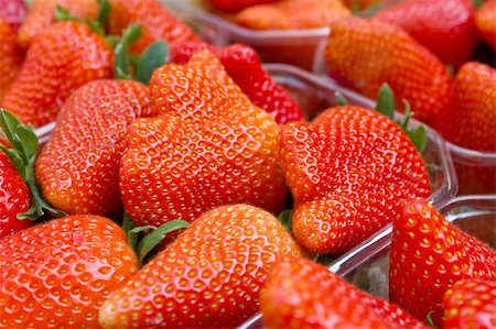 simsearch:400-05891431,k - Strawberries Stock Photo - Budget Royalty-Free & Subscription, Code: 400-04387653