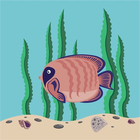 simsearch:400-05665985,k - funny red fish swims in the sea Stock Photo - Budget Royalty-Free & Subscription, Code: 400-04389428