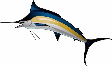 Vector illustration of marlin fish Stock Photo - Budget Royalty-Free & Subscription, Code: 400-04382570