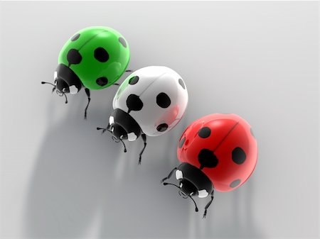 simsearch:400-04920020,k - ladybug Foto de stock - Super Valor sin royalties y Suscripción, Código: 400-04383892