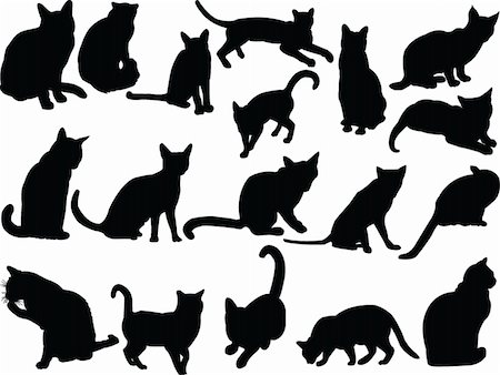 illustration of cat collection - vector Foto de stock - Super Valor sin royalties y Suscripción, Código: 400-04394975