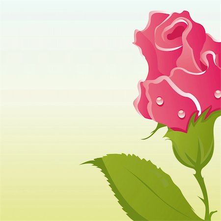simsearch:400-04330288,k - beautiful roses background Stock Photo - Budget Royalty-Free & Subscription, Code: 400-04392132