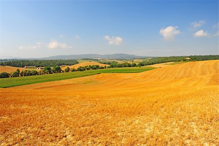 simsearch:400-05711931,k - Farmhouse Surrounded By Sloping Meadows Of Tuscany Stock Photo - Budget Royalty-Free & Subscription, Code: 400-04392192