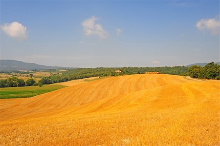 simsearch:400-05711931,k - Farmhouse Surrounded By Sloping Meadows Of Tuscany Stock Photo - Budget Royalty-Free & Subscription, Code: 400-04393118