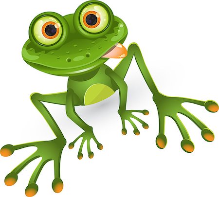 simsearch:400-04912667,k - illustration, merry green frog with greater eye Stock Photo - Budget Royalty-Free & Subscription, Code: 400-04405153