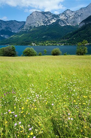 Beautiful summer Alpine  lake Grundlsee view (Austria) Stock Photo - Budget Royalty-Free & Subscription, Code: 400-04409812