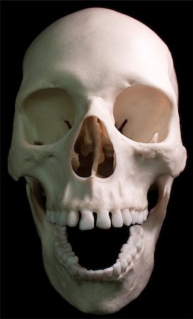 simsearch:400-03971352,k - Human skull - bone head dead teeth spooky scary pirate isolated evil Foto de stock - Super Valor sin royalties y Suscripción, Código: 400-04401145