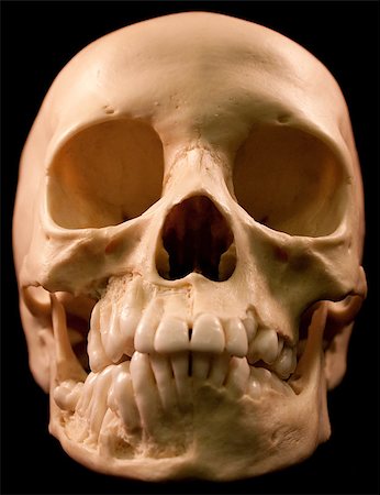 simsearch:400-03971352,k - Human skull - bone head dead teeth spooky scary pirate isolated evil Foto de stock - Super Valor sin royalties y Suscripción, Código: 400-04401156