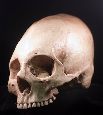 simsearch:400-03971352,k - Human skull - bone head dead teeth spooky scary pirate isolated evil Foto de stock - Super Valor sin royalties y Suscripción, Código: 400-04401169