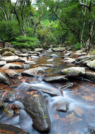 water spring in jungle Stock Photo - Budget Royalty-Free & Subscription, Code: 400-04424246