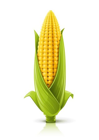 ration - corncob vector illustration isolated on white background Stock Photo - Budget Royalty-Free & Subscription, Code: 400-04420294