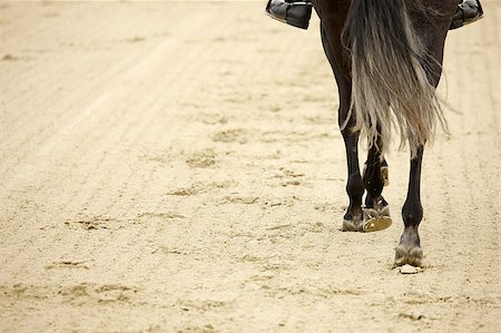 A picture of an equestrian on a horse in motion over natural background Stock Photo - Budget Royalty-Free & Subscription, Code: 400-04423579