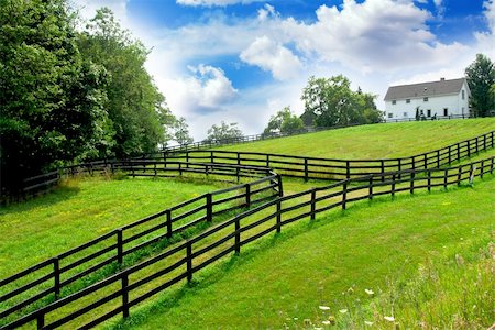 simsearch:700-03508131,k - Rural landscape with lush green fields and farm house Stock Photo - Budget Royalty-Free & Subscription, Code: 400-04434889