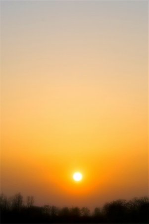 plants of the australian outback - hazy sunset with backlit trees on the horizon Stock Photo - Budget Royalty-Free & Subscription, Code: 400-04436556