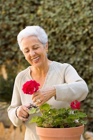 senior lady pruning her plants Stock Photo - Budget Royalty-Free & Subscription, Code: 400-04437248