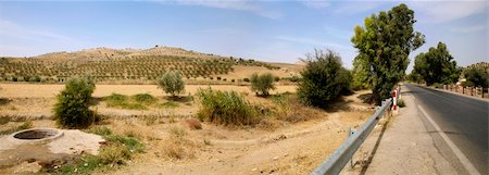 mekenes and fields of olive-trees  - north of morocco Foto de stock - Super Valor sin royalties y Suscripción, Código: 400-04433169
