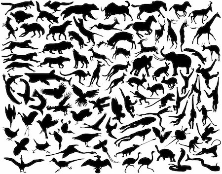 simsearch:400-04280168,k - Collection of vector silhouettes of a wide range of active animals Stock Photo - Budget Royalty-Free & Subscription, Code: 400-04441776