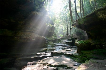 Sun shines through trees in rocky valley Stock Photo - Budget Royalty-Free & Subscription, Code: 400-04443340