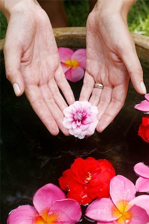 funeral flowers - Hand offering magnolia flower over dark water Stock Photo - Budget Royalty-Free & Subscription, Code: 400-04454577