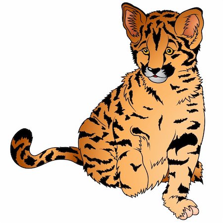 simsearch:400-04109301,k - Leopard 1 - coloured cartoon illustration as vector - Sitting Leopard Stock Photo - Budget Royalty-Free & Subscription, Code: 400-04458026