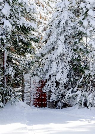 Gate in a woods Stock Photo - Budget Royalty-Free & Subscription, Code: 400-04464005