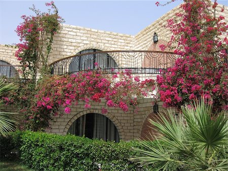 Small hotel from a white stone in red flowers. Stock Photo - Budget Royalty-Free & Subscription, Code: 400-04465680