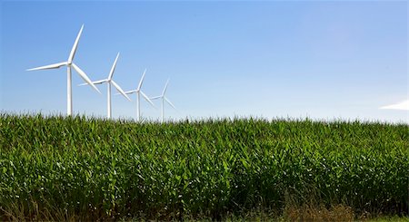 windmill shot over blue sky in green field Stock Photo - Budget Royalty-Free & Subscription, Code: 400-04467712